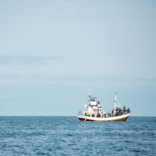 [방앗간아이] 풍미가득 볶은 올리브 돌자반볶음