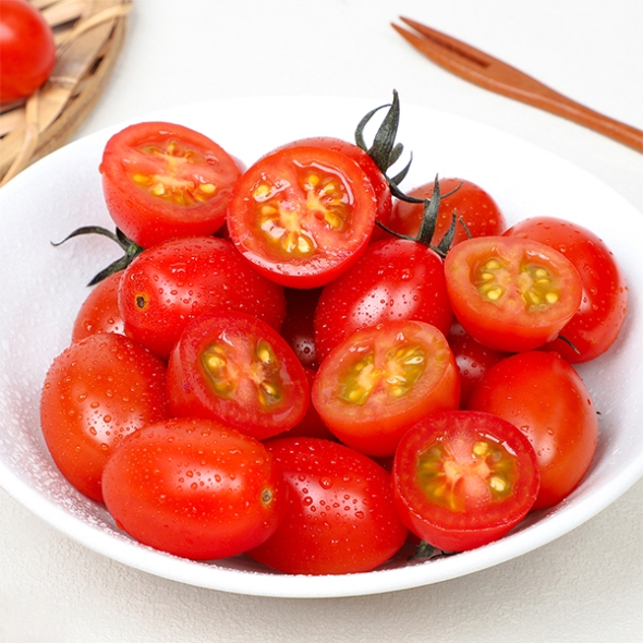 스테비아 방울토마토(푸)