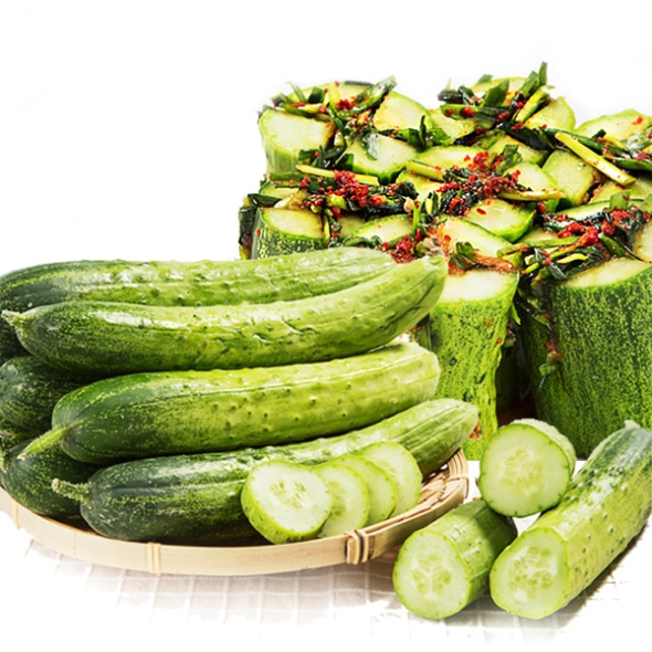 [농협] 한아름드린 신선 백다다기 오이 2/3/5/10kg(1kg당4-6개내)