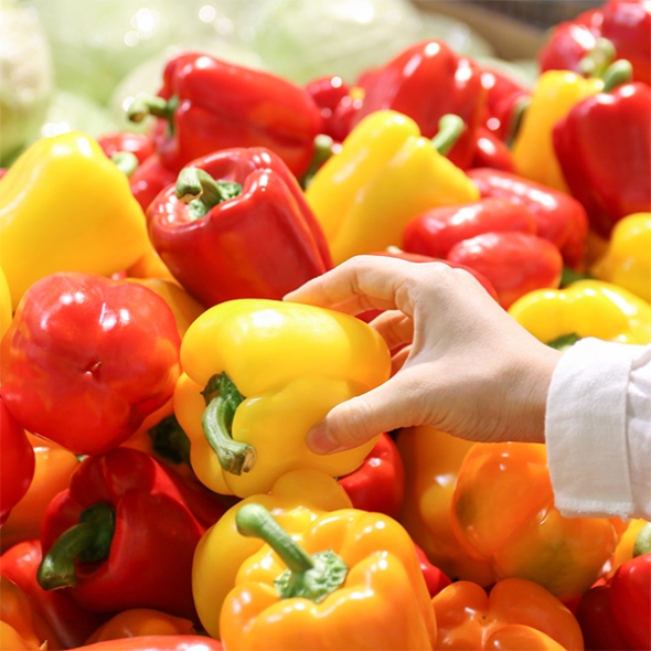 국내산 파프리카(푸)