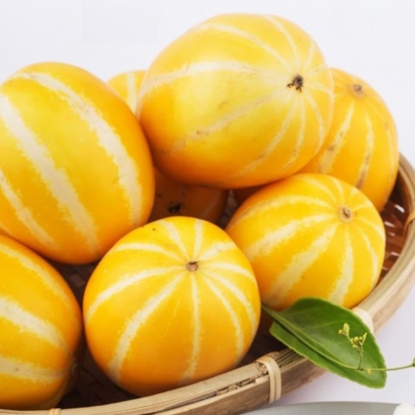 성주 꿀참외 1kg/2kg/5kg/10kg 가정용 정품