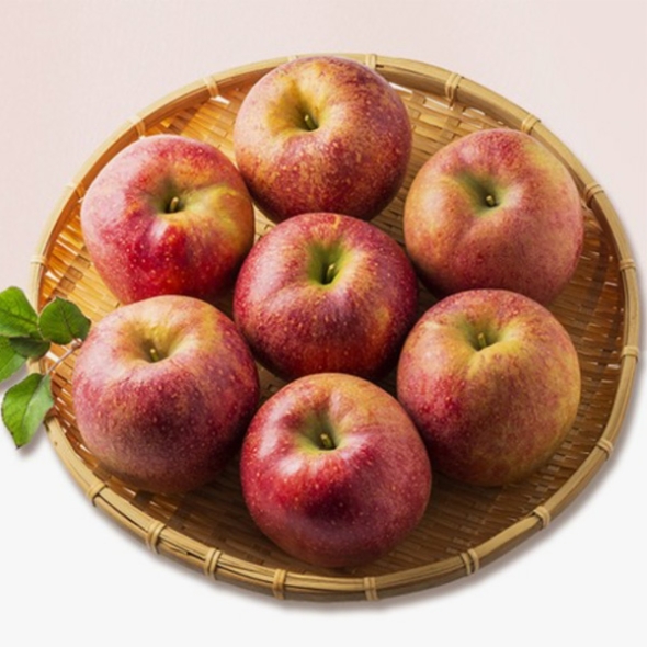  [옥과농협] 세척 부사사과 [3kg-5kg/소과/중과] 