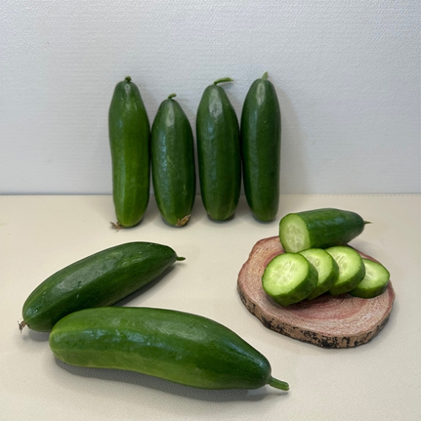 (제철도매) 수분가득 아~삭아~삭 국내산 -미니오이 500g,1kg,2kg