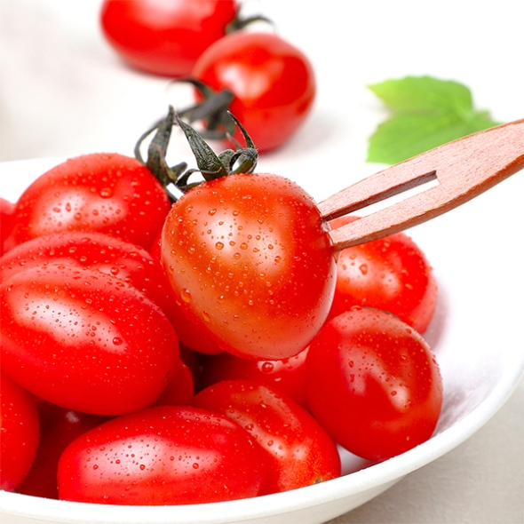 스테비아 방울토마토(푸)