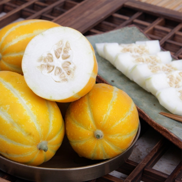 [농협] 한아름드린 한입에 반한 꿀참외 2kg/3kg/5kg (사이즈 대/중/소 선택)