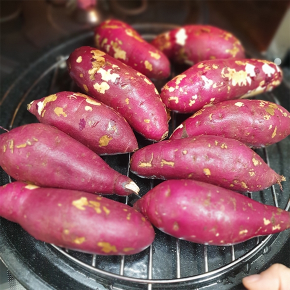 (제철도매) 달콤한 베니하루까-해남 호박고구마