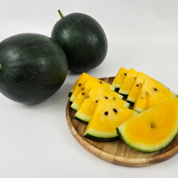 [미니수박] 속이 노란 수박 블랙  망고 수박 2-3kg내외 1통