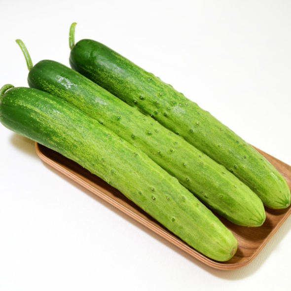 [농협] 한아름드린 신선 백다다기 오이 2/3/5/10kg(1kg당4-6개내)