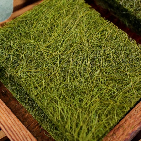 (제철도매) 바다의 보물 -생감태  20매,40매