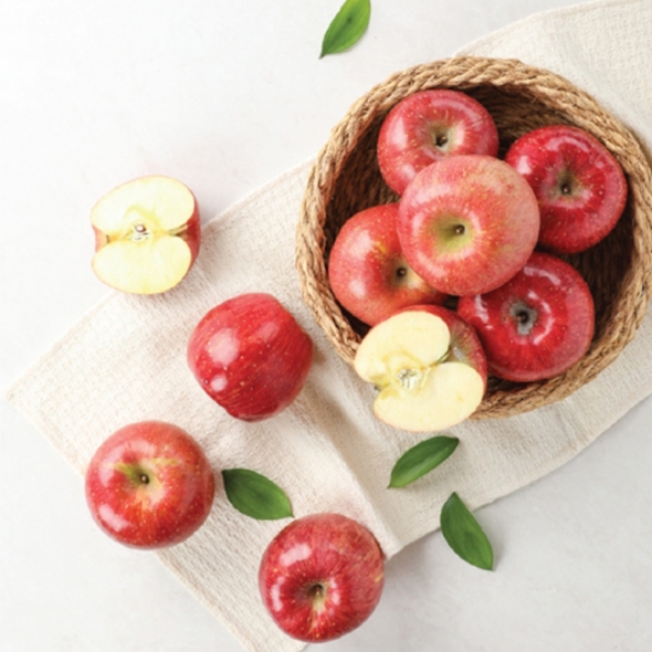 [부엌애]  장수사과 부사사과 못난이/정품사과 2kg~4.5kg