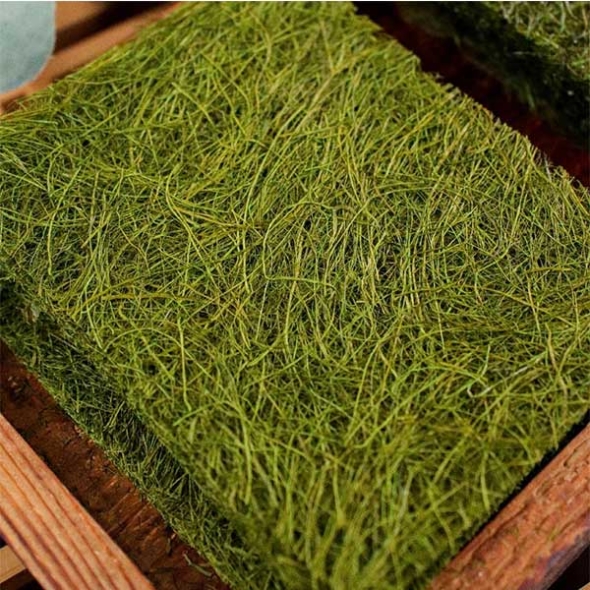 (제철도매) 바다의 보물 -생감태  20매,40매