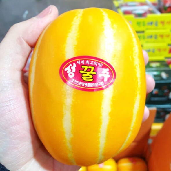 [성주참외] 성주 꿀참외 [2kg-5kg]