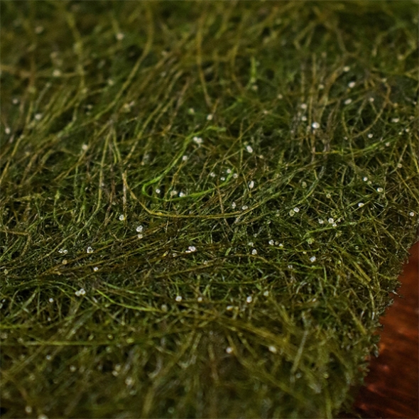 (제철도매) 50년 전통 햇구운감태-100% 국내산 서산 감태