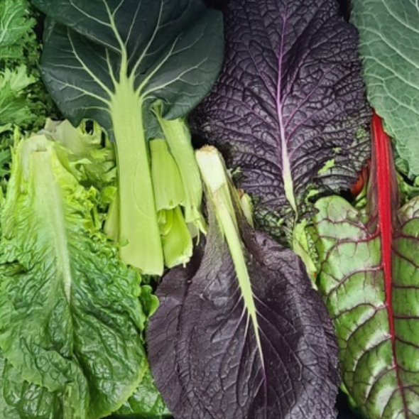 [하늘농장] 국내산 모듬 쌈채소 1kg/2kg (8종류내외)