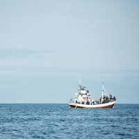 [방앗간아이] 풍미가득 볶은 올리브 돌자반볶음