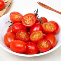 스테비아 방울토마토(푸)