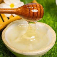 (제철도매) 100% 국내산 -지리산 사양벌꿀 2종 2,4kg