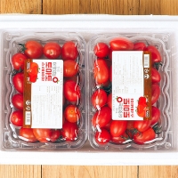 스테비아 방울토마토(푸)