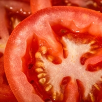 [농협] 한아름드린 완숙토마토 2kg/5kg (사이즈 1~2번과랜덤/3번과 선택)