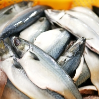 [오커최고] 안동 간고등어 한마리 5팩