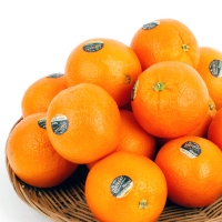 [농협공판장] 정성드린 블랙라벨 오렌지 대과 3kg/5kg