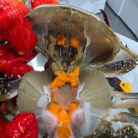 [오커최고] 서해안 활 암꽃게 1~3kg