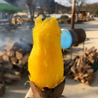 [신한카드 할인!] [베니하루카] 꿀 고구마 [2kg-4kg] [한입/왕/특상]