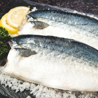 [오커최고] 안동 간고등어 한마리 5팩