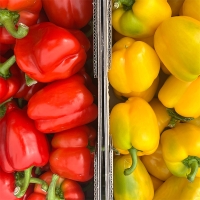 국내산 파프리카(푸)