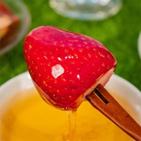 (제철도매) 100% 국내산 -지리산 사양벌꿀 2종 2,4kg