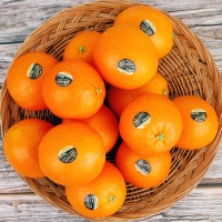 [농협공판장] 정성드린 블랙라벨 오렌지 대과 3kg/5kg