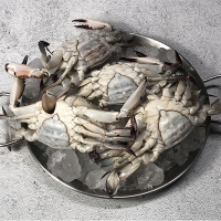 [보름데이] 서해안  활 암꽃게(푸)