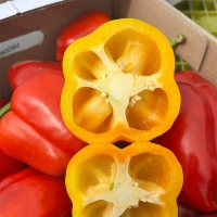 국내산 파프리카(푸)