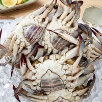 [오커최고] 서해안 활 암꽃게 1~3kg