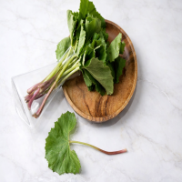 [산지직송]향긋하고 쌉싸름한 봄의맛 국내산 머위나물 300g/500g/1kg/2kg