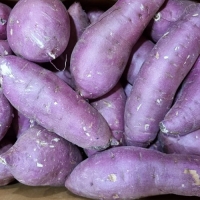 [신한카드 할인!] [베니하루카] 꿀 고구마 [2kg-4kg] [한입/왕/특상]