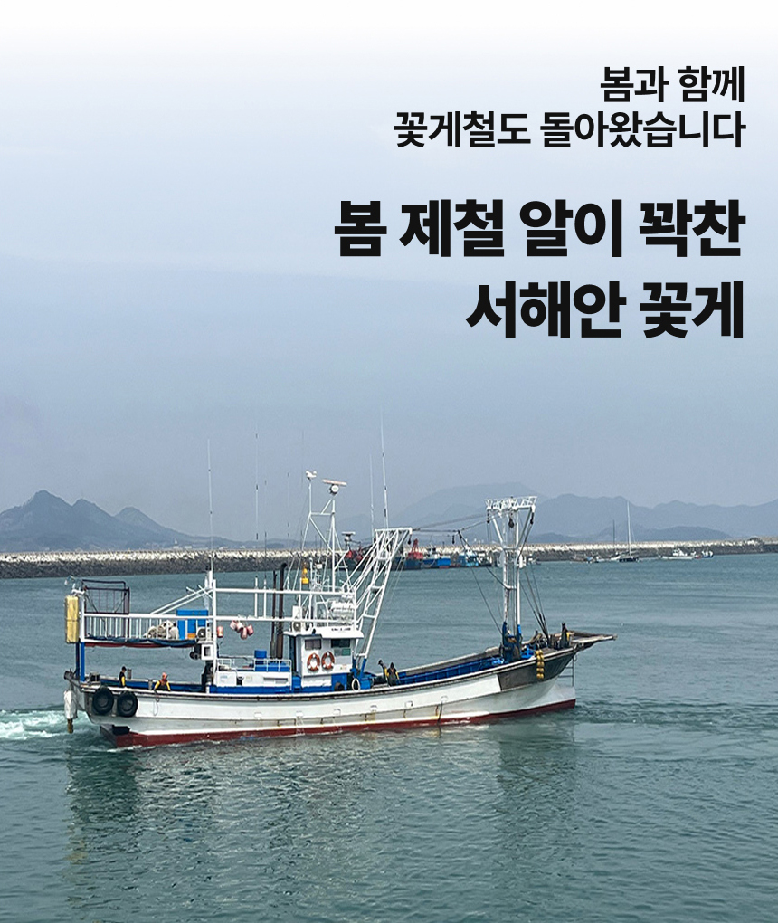 제철 서해안 활꽃게 1kg