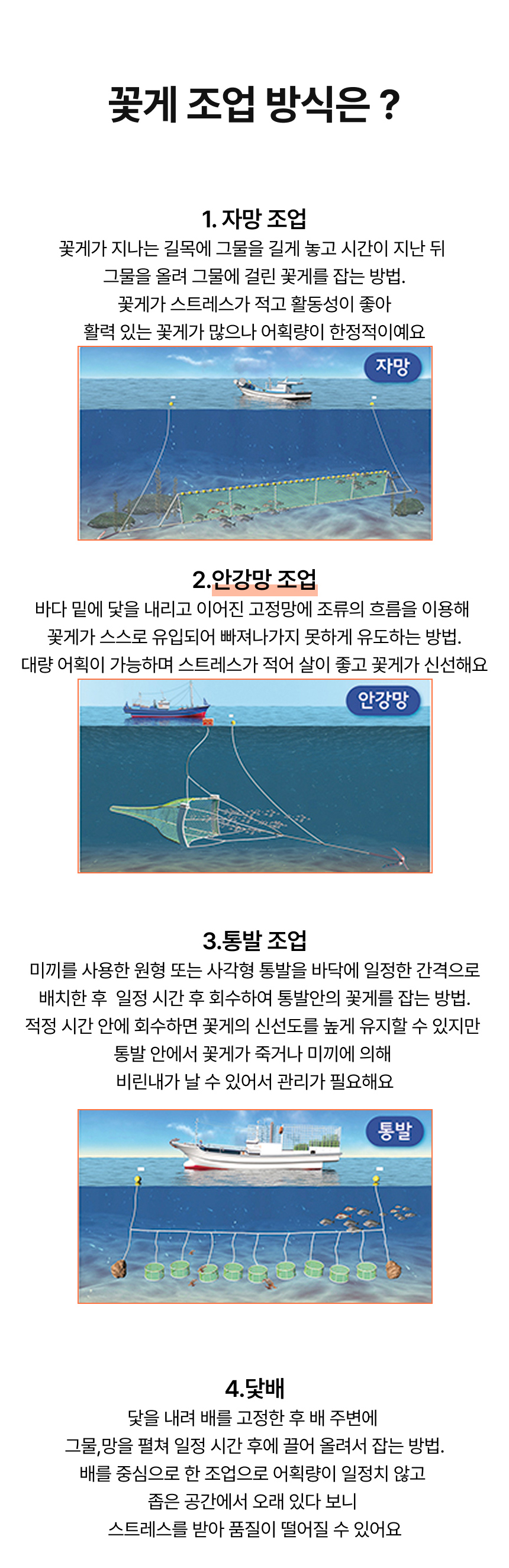 제철 서해안 활꽃게 1kg