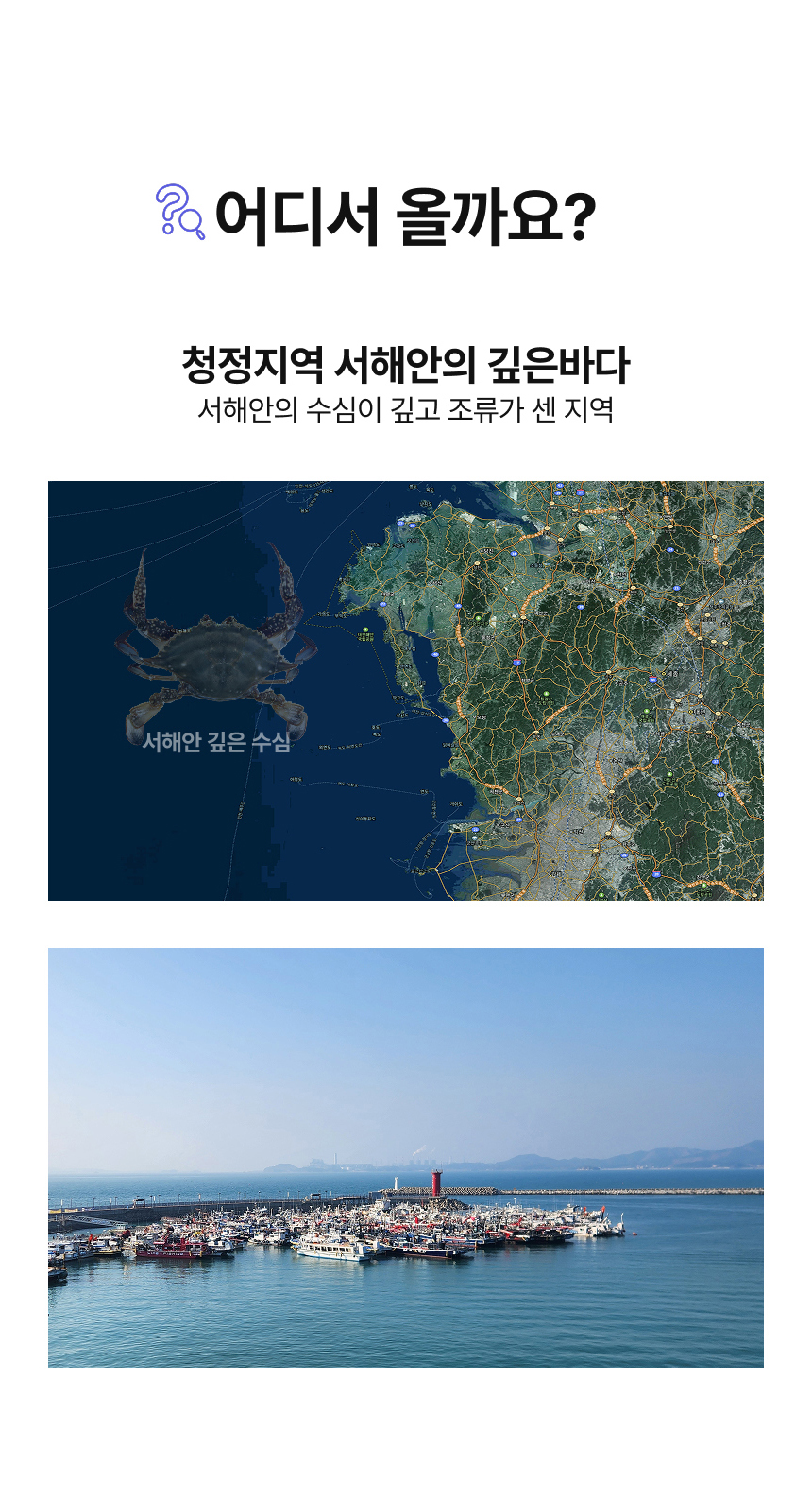 제철 서해안 활꽃게 1kg