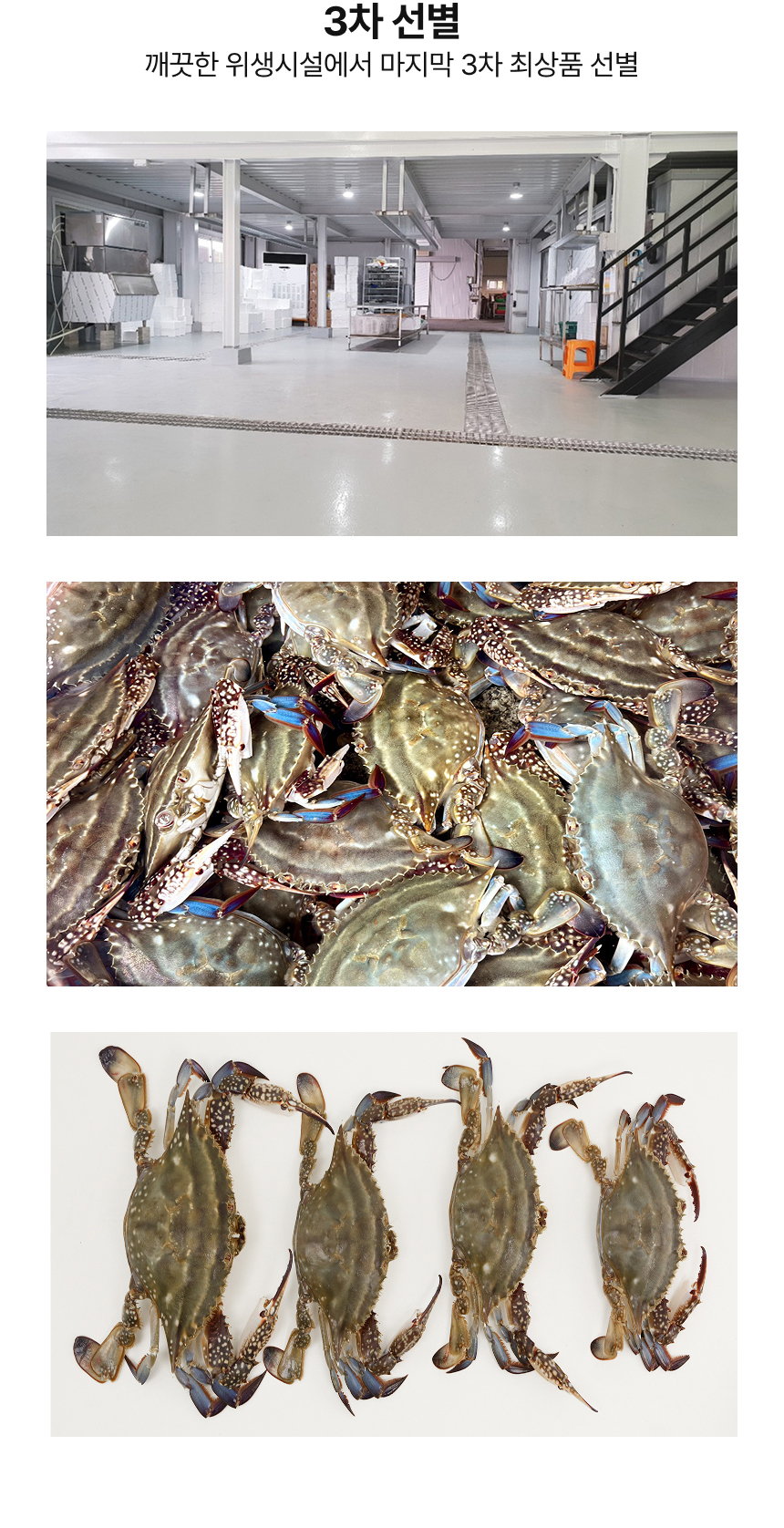 제철 서해안 활꽃게 1kg