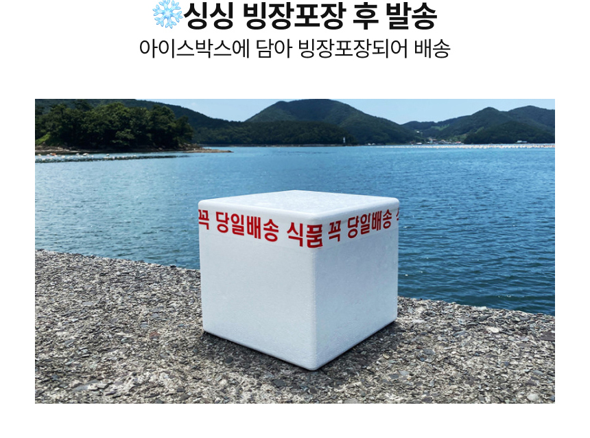 제철 서해안 활꽃게 1kg