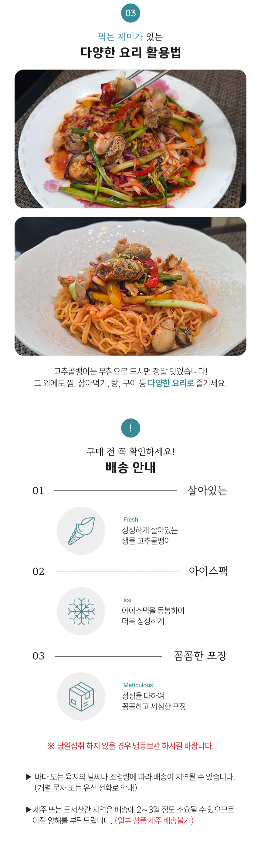 동해안 자연산 고추골뱅이 1kg 생물