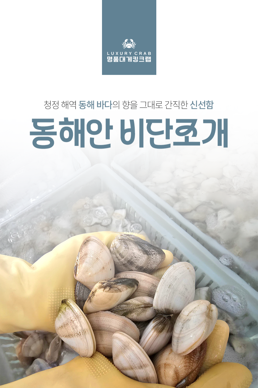 동해안 자연산 비단조개(특대 사이즈) 1kg