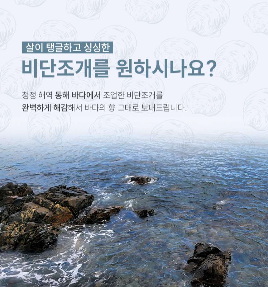 동해안 자연산 비단조개(특대 사이즈) 1kg