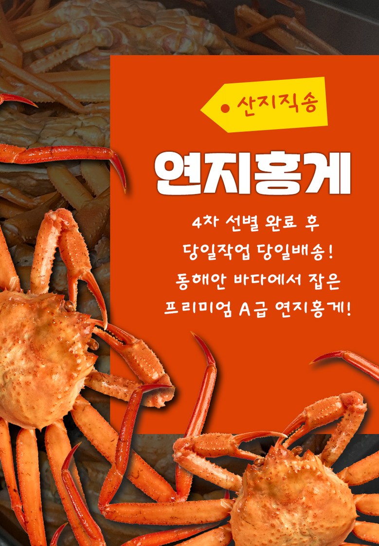 산지직송 구룡포 연지홍게 홍게제철 실속 가성비 3kg (10-12미)