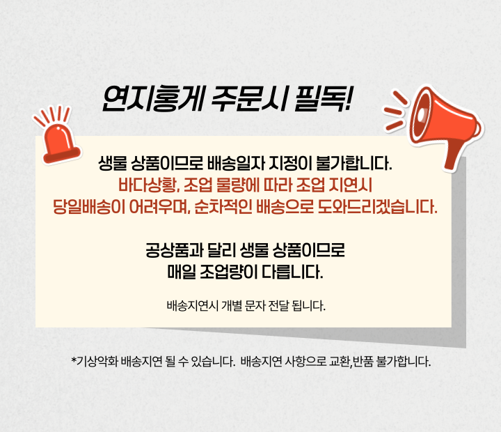 산지직송 구룡포 연지홍게 홍게제철 실속 가성비 3kg (10-12미)