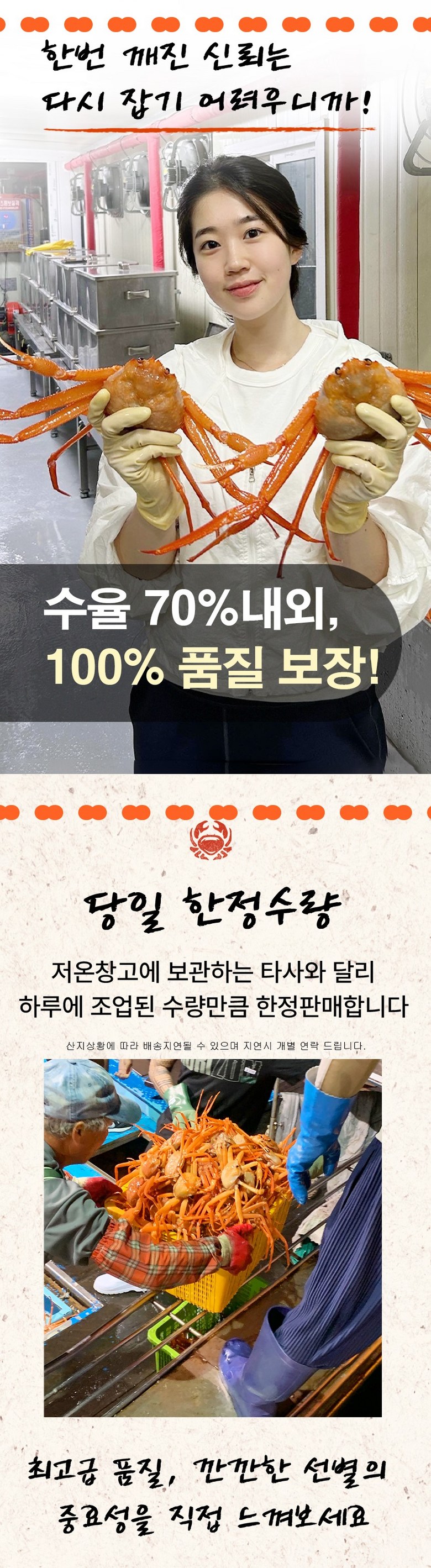 산지직송 구룡포 연지홍게 홍게제철 실속 가성비 3kg (10-12미)