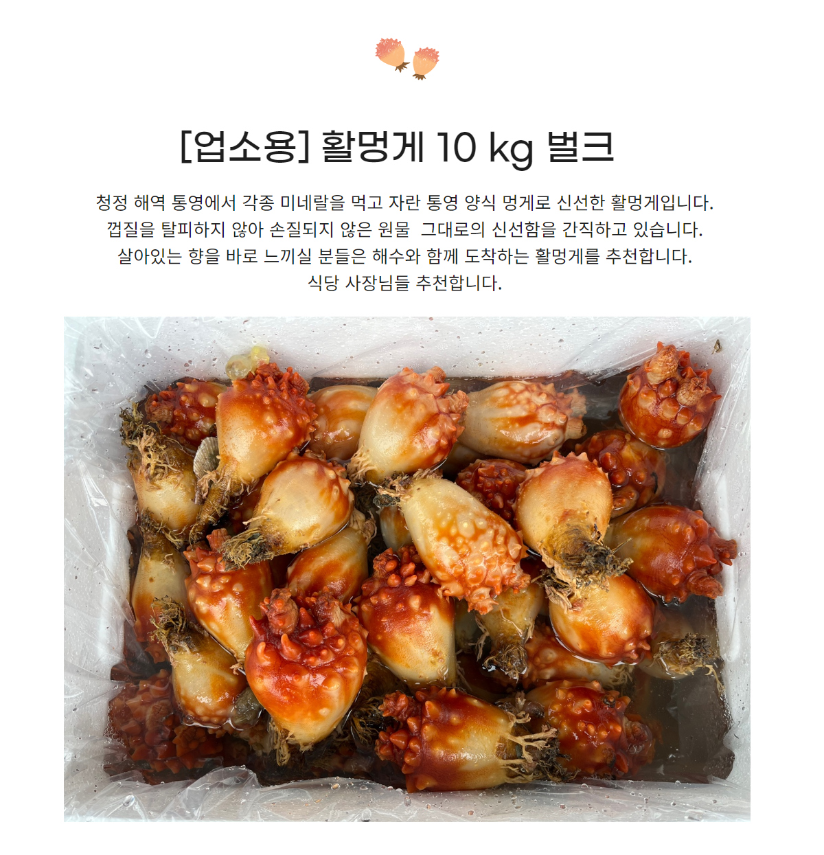 악세사리 상품 이미지-S3L1