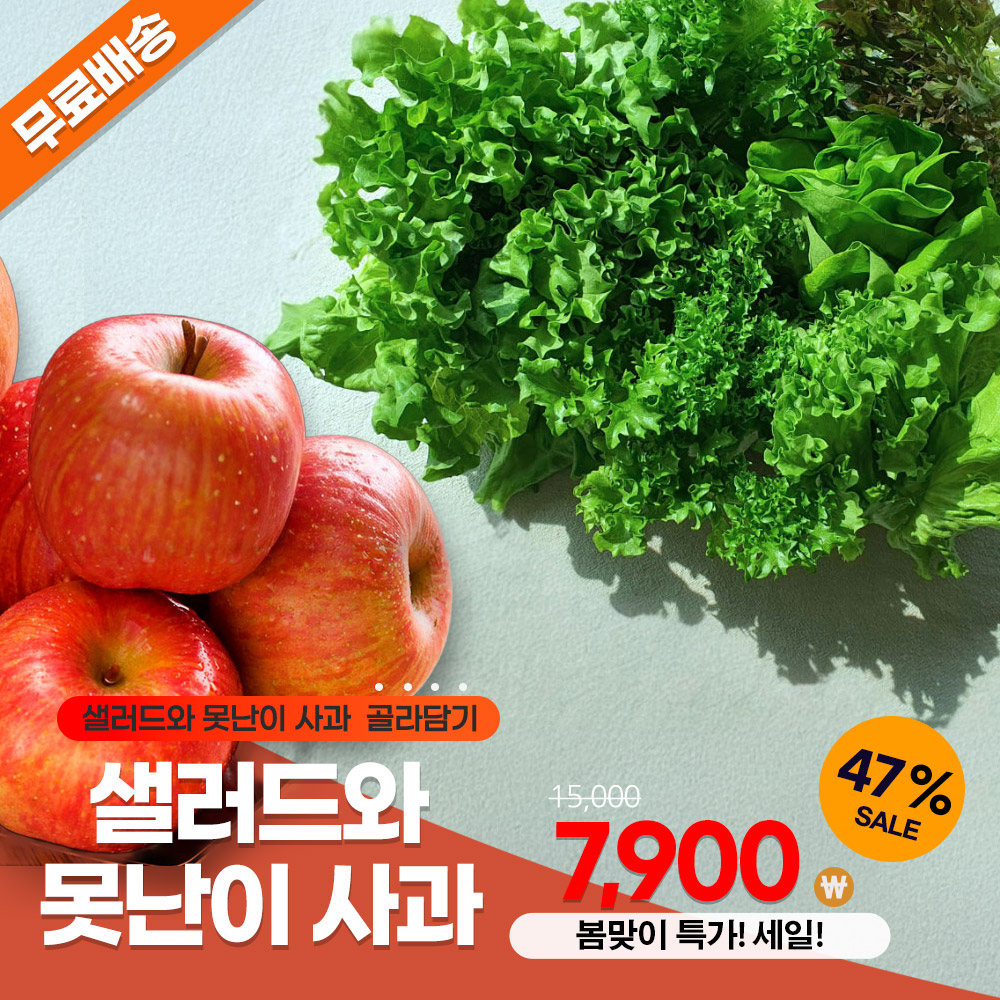 샐러드와 못난이 사과 골라담기