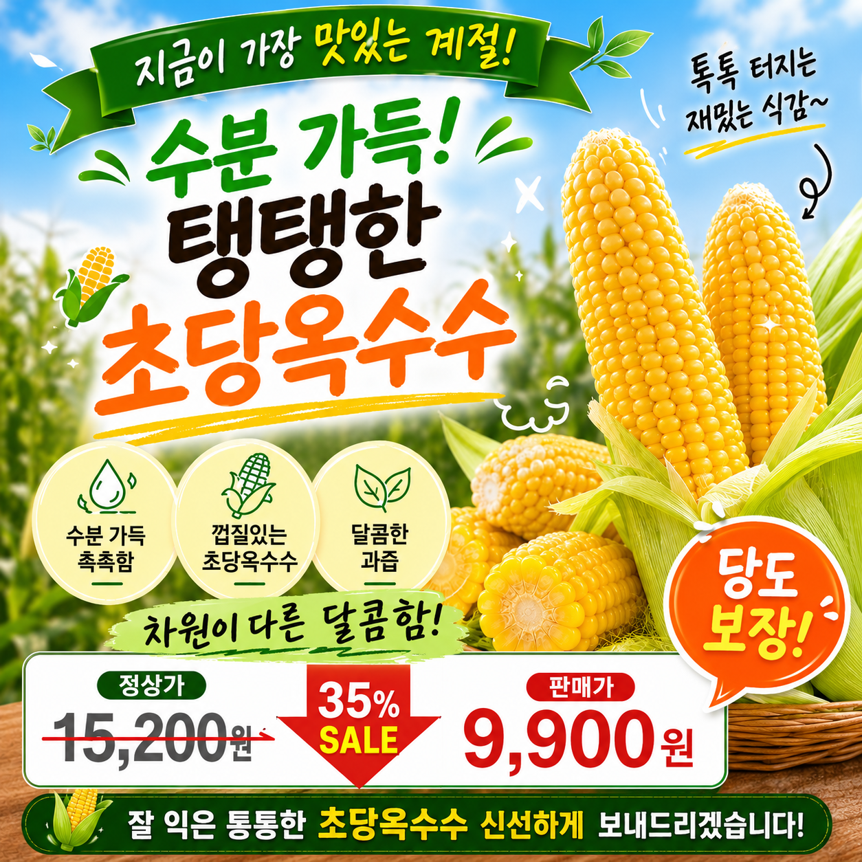 초당옥수수